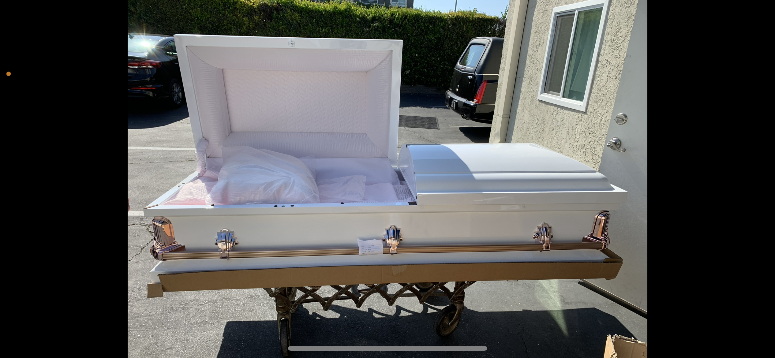 The Forever Series White/Silver photo review