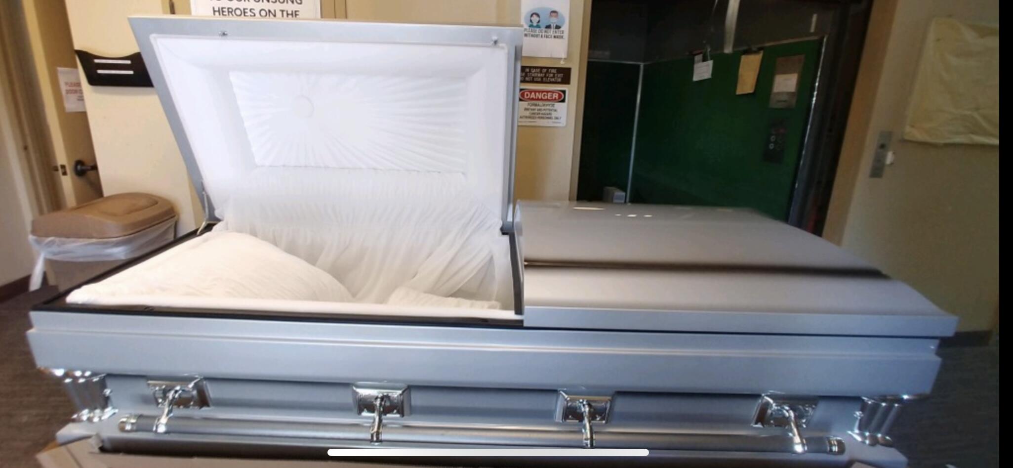 Gemini Series Silver photo review