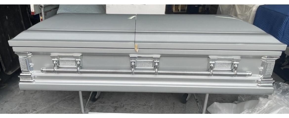 Silver Platinum photo review