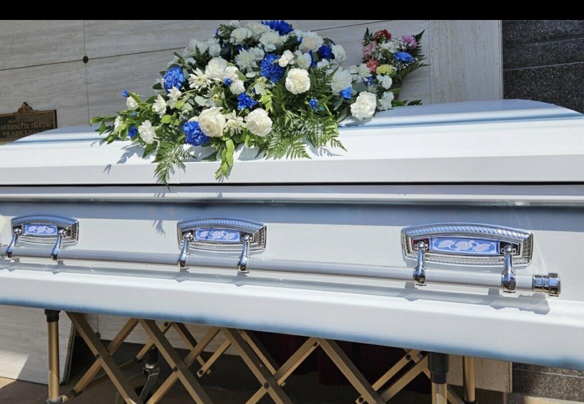 Orion Series Blue Rose photo review