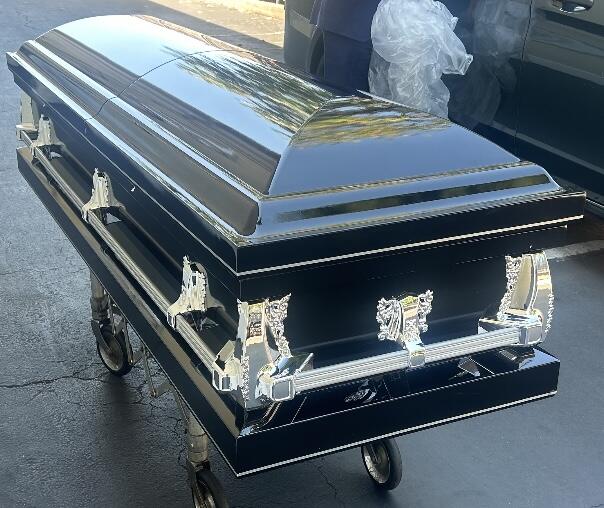 Clair Black and Silver Full Couch photo review