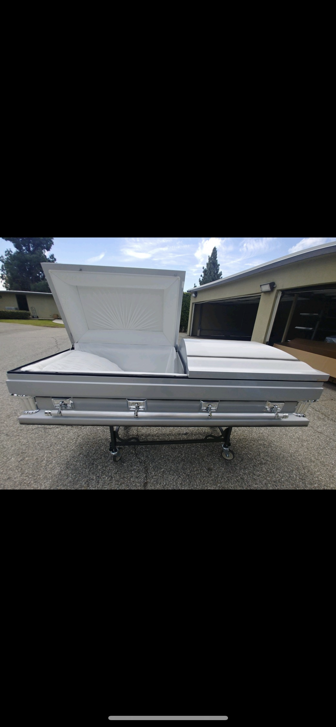 Gemini Series Silver photo review