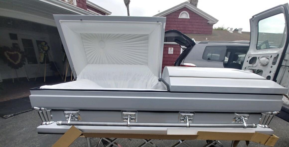 Gemini Series Silver photo review