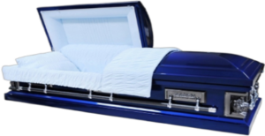 8543a fotor 2025030211343