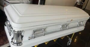 Delta Series white and silver photo review