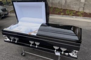 Gemini Series Black photo review