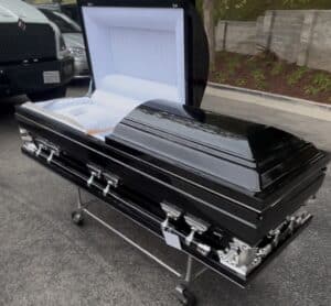 Gemini Series Black photo review