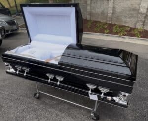 Gemini Series Black photo review