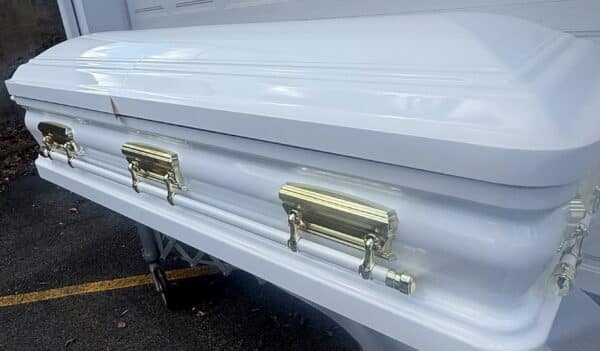 Orion Series White/Gold photo review