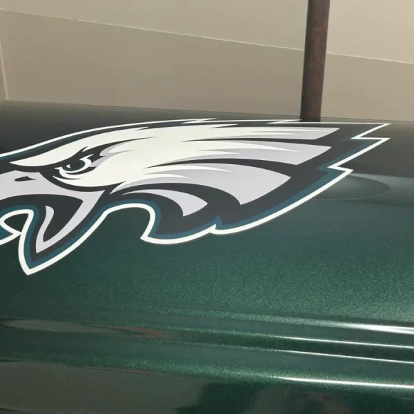 Philadelphia Eagles Casket