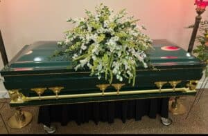 Gemini Series Green photo review