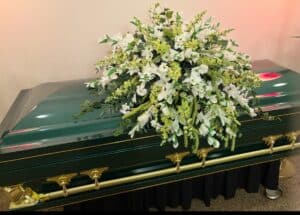 Gemini Series Green photo review