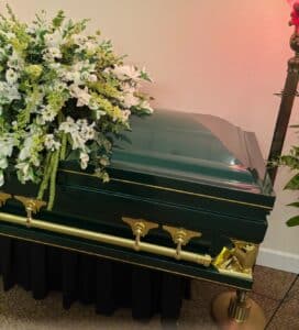 Gemini Series Green photo review