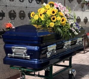 Orion Series Cobalt Blue photo review