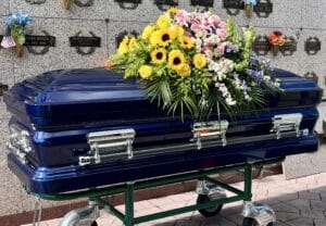 Orion Series Cobalt Blue photo review