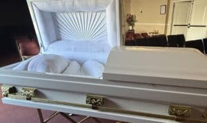 Mercury Series White and Gold photo review