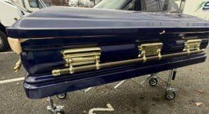 Orion Series Blue and Gold photo review