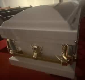 Clair Series White/Gold/ Gold Bar photo review