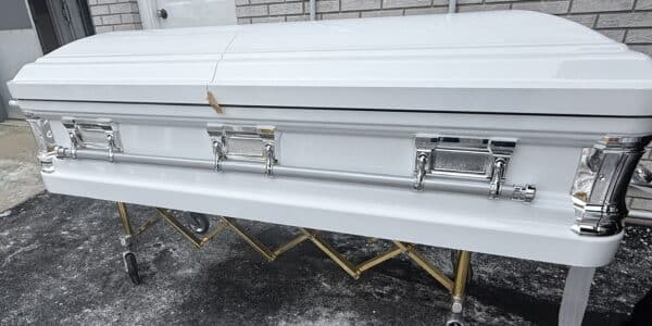 Delta Series white and silver photo review