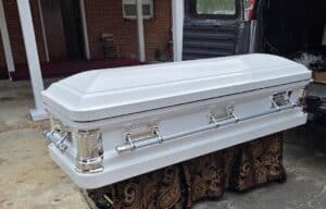 Delta Series white and silver photo review