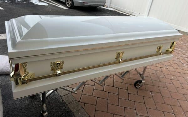 Clair Series White/Gold/ Gold Bar photo review