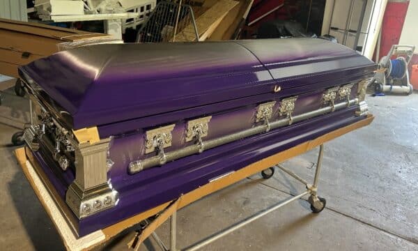 Roman Series Purple/Silver Accents photo review