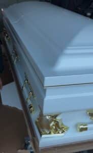 Gemini Series White Pearl photo review