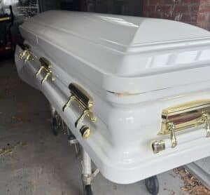 Orion Series White/Gold photo review