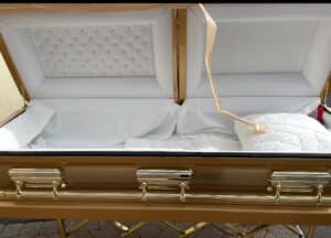 Orion Series Gold Brush photo review