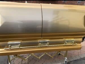 Orion Series Gold Brush photo review