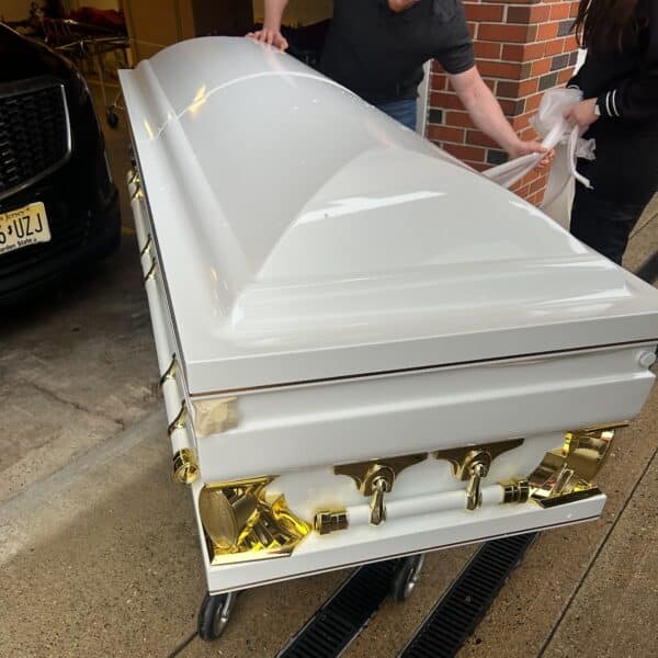 Gemini Series White Pearl photo review