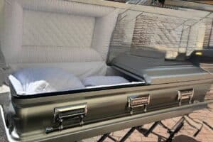 Orion Series Silver photo review