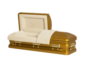 Memphis UC Gold Ivory fotor 20250817191251