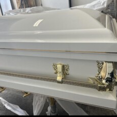 A glossy white casket with elegant gold handles is shown. It rests on a stand in a well-lit room, conveying a solemn and respectful tone.