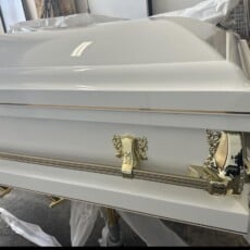 A glossy white casket with elegant gold handles is shown. It rests on a stand in a well-lit room, conveying a solemn and respectful tone.