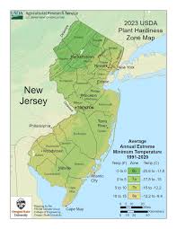 Buying an Online Casket in New Jersey