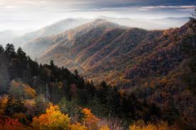 Buy a Casket Online in Tennessee | Casket Emporium