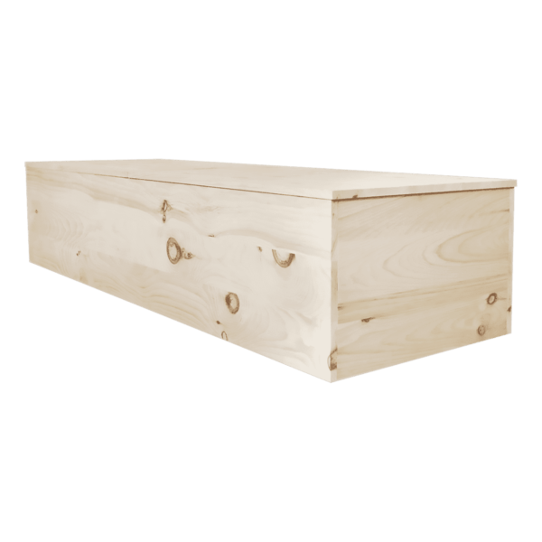 Eco Friendly Casket