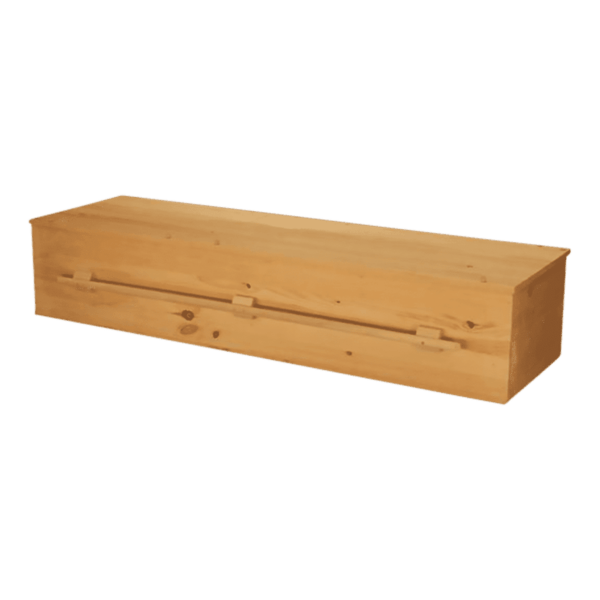 Eco Plain Pine Casket