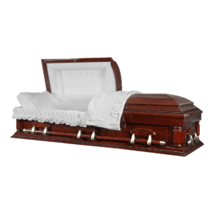 fotor 2023 3 19 13 37 42