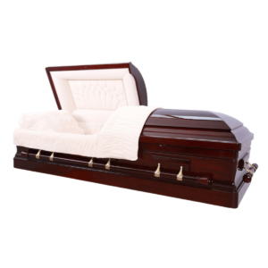 inspiration presidential fotor 202503241864