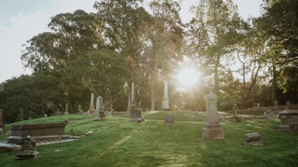 Sunlit cemetery scene with headstones and monuments surrounded by lush green grass and tall trees. The sun peeks through branches, creating a serene, contemplative mood.