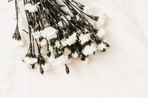 A bouquet of small white flowers with dark stems lies on a soft, light background. The scene conveys simplicity and tranquility.