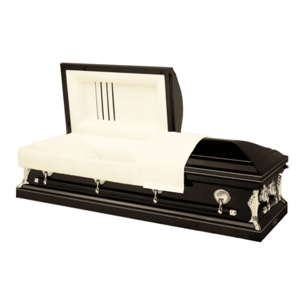 Stardust Casket