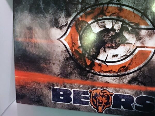 Grungy artwork features a weathered "C" logo in orange and white above "Bears" text with a bear head, against a dark, textured background.