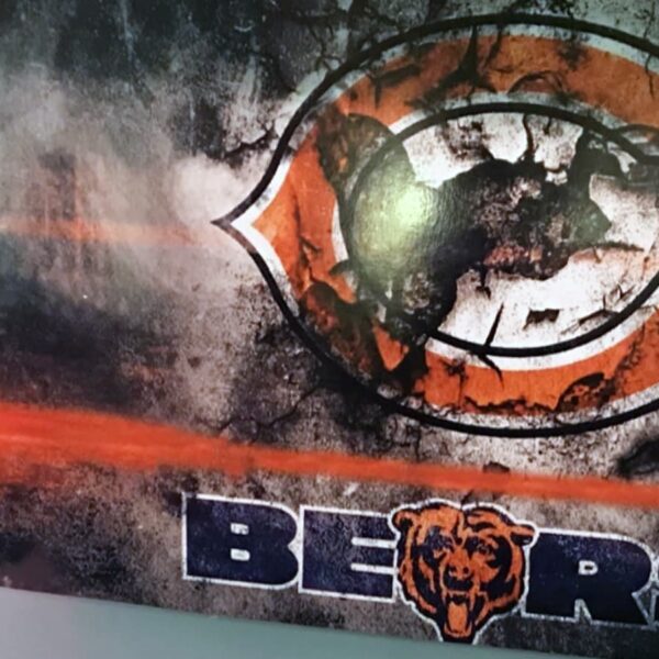 Chicago Bears Head Panel